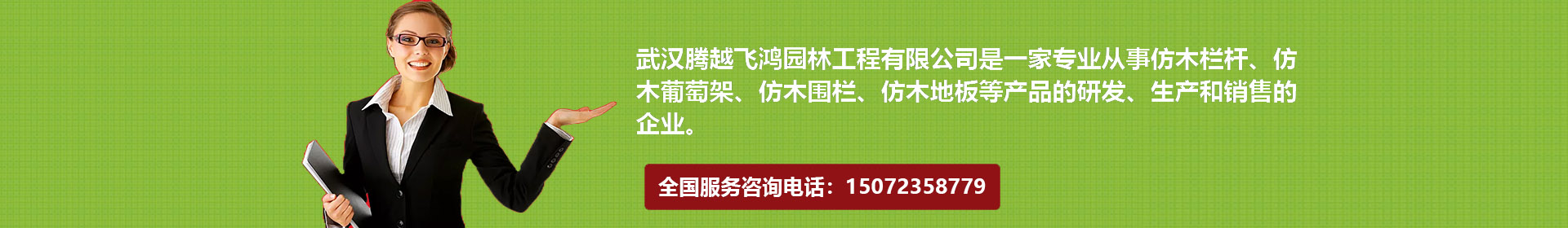 武汉腾越飞鸿园林工程有限公司